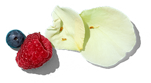 Blaubeere, Himbeere und Rosenblütenblätter