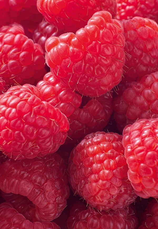 CARE Himbeeren